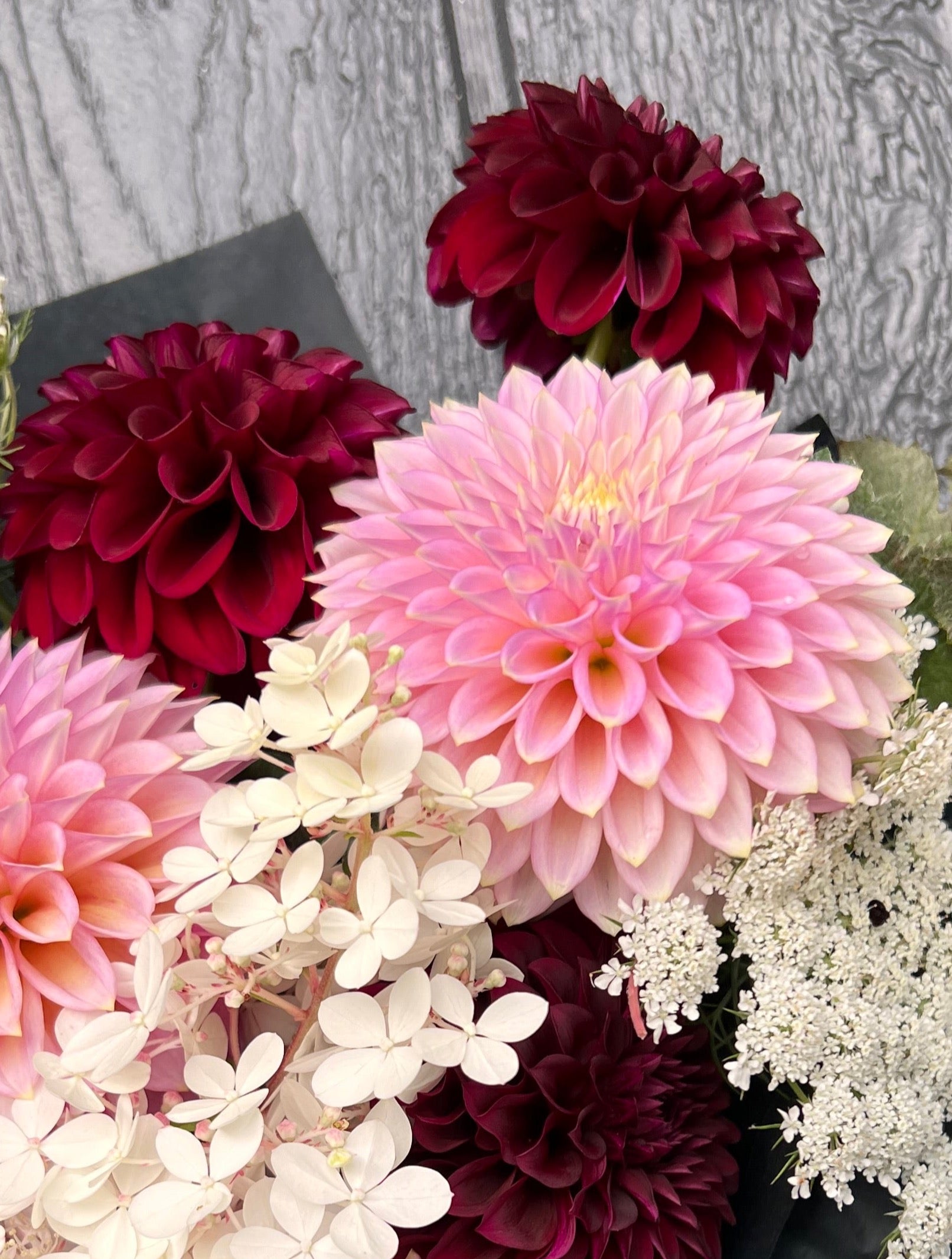 Maroon Fox SALE – Junebugs Blooms